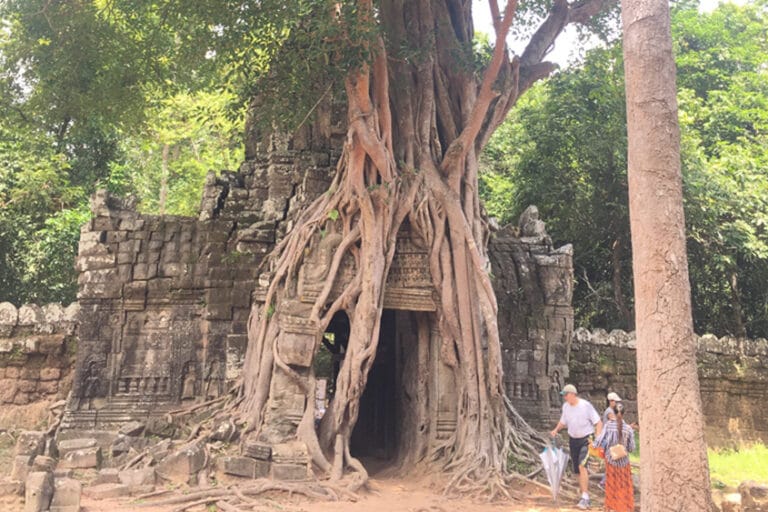Ta Som Temple