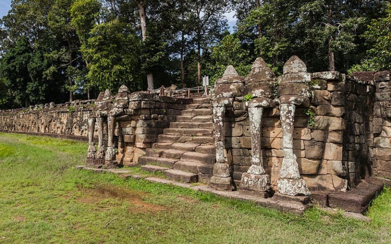 Elephant terrace